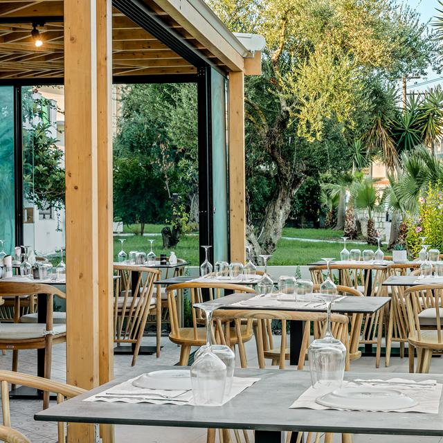 37644084-Original 37644084-Original